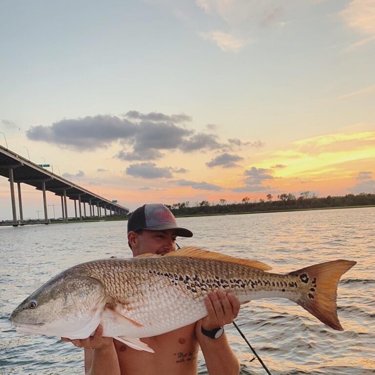 @connerbar look at all those spots! South Carolina redfish caught on live mullet…