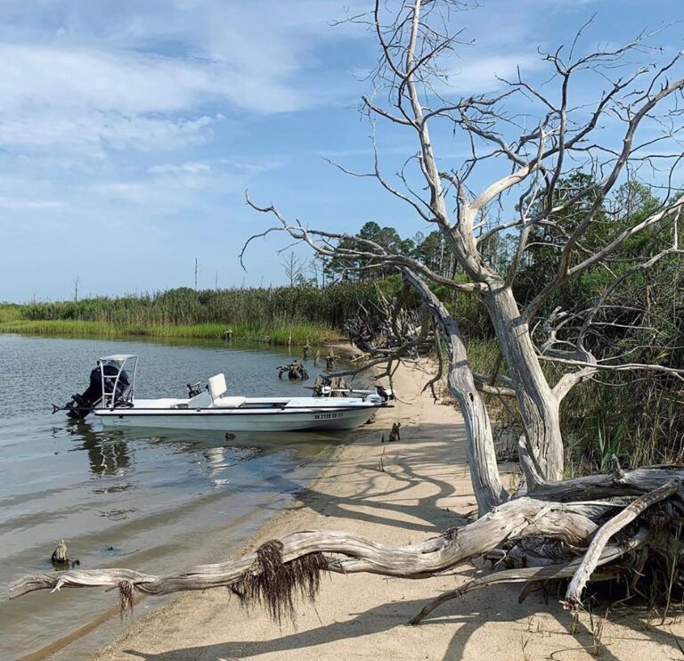 @vincezawada starting off the weekend with this Salt Marsh!

DM / tag us in your…