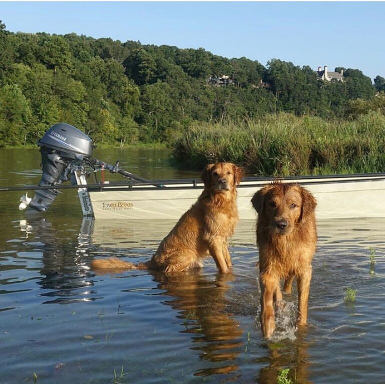 I can not imagine better company on the skiff. 

: