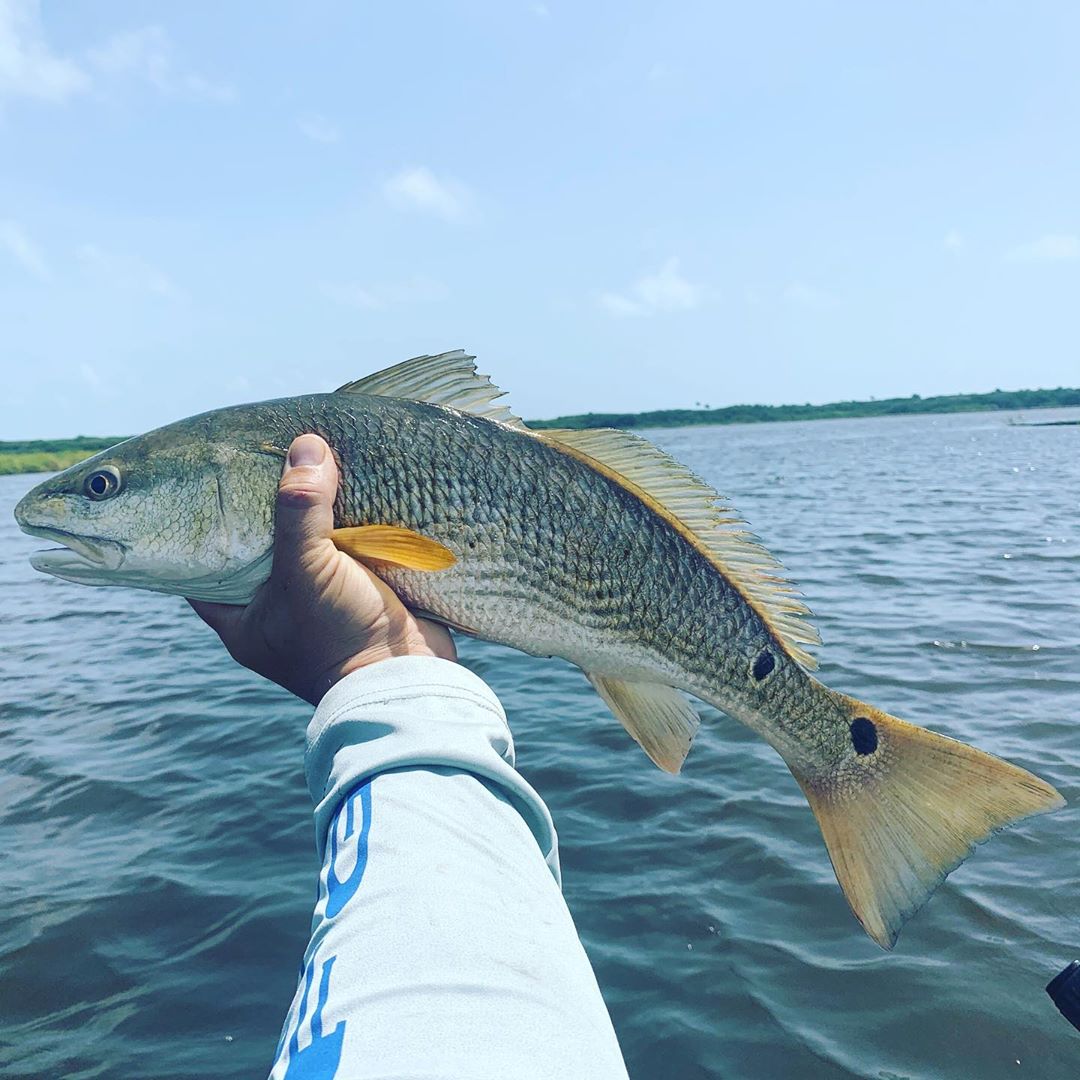 Guana outpost red with nice spots