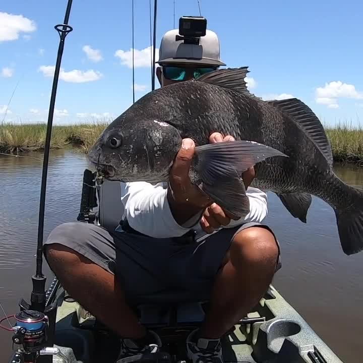 Got Catfished by a Black Drum. Thought it was a Sheepshead!  0210  
-⠀
-⠀
-⠀
-⠀