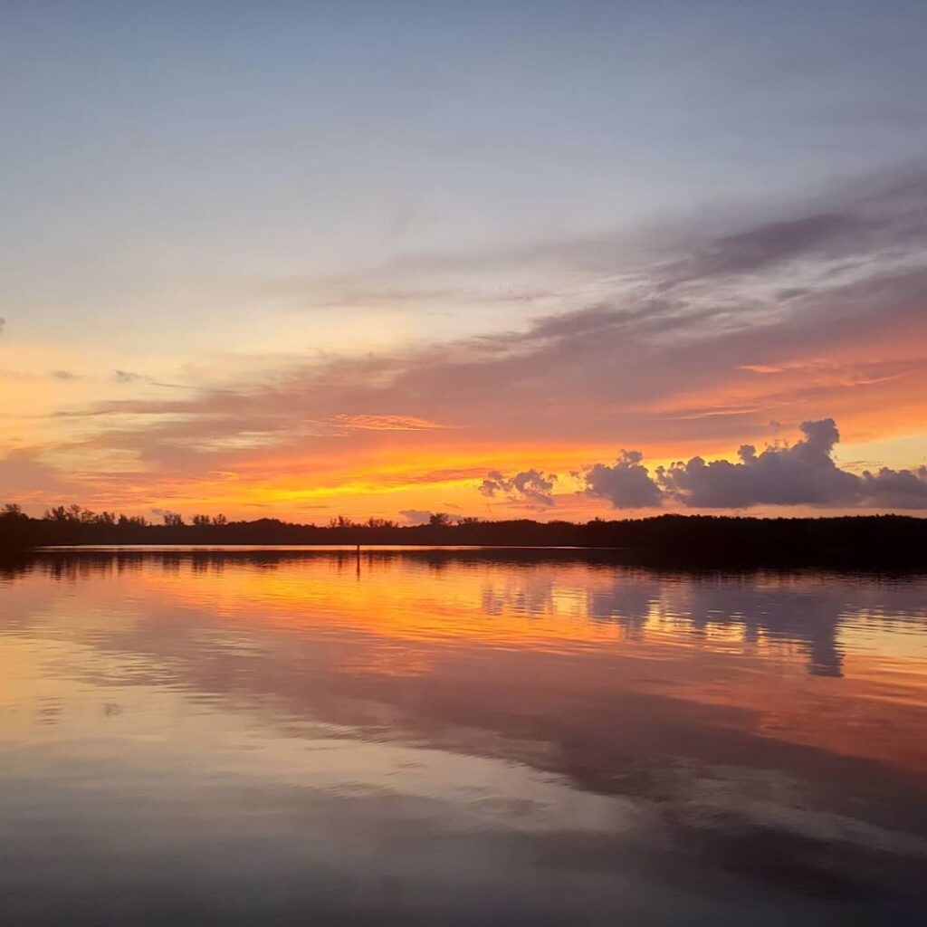 Good morning, weedon island