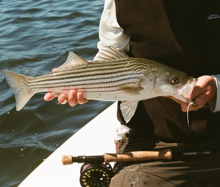 Cooler weather and hotter fishing coming to a beach near you