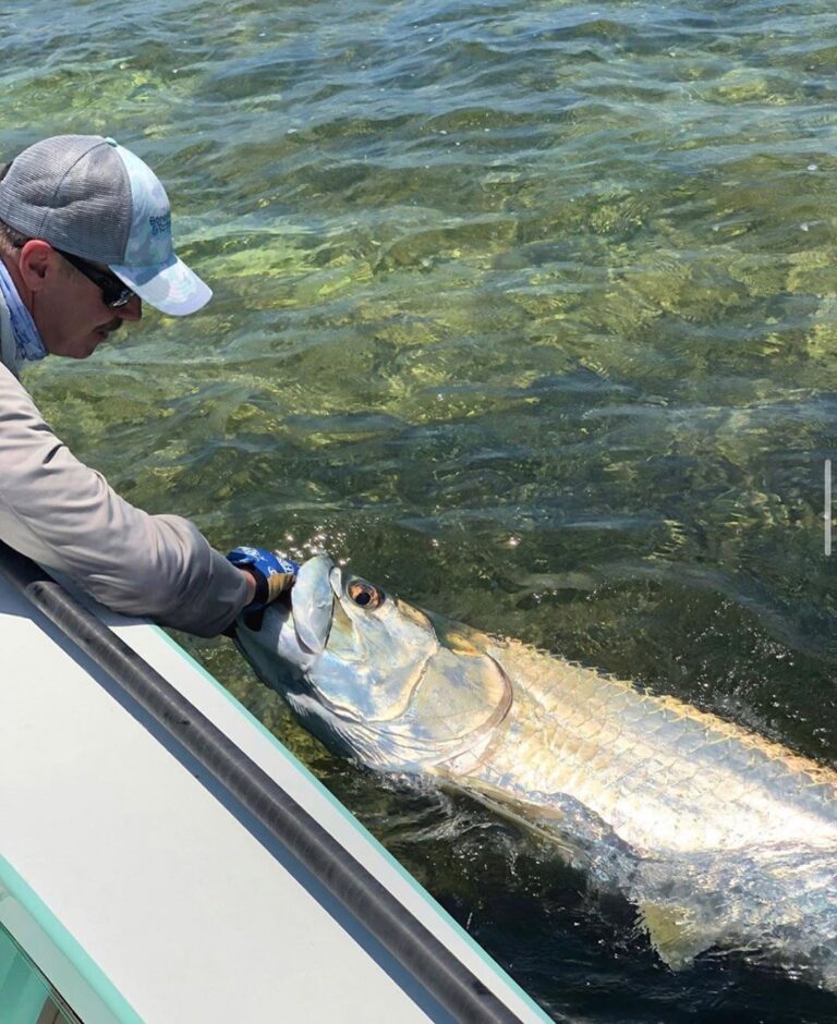 @castawaycustoms chasing down some poon in Islamorada!

DM / tag us in your pics…