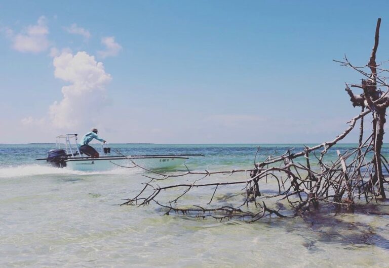 Therapy in the Keys on the Skimmer @coltsjesse !

DM / tag us in your pics!
Don’…