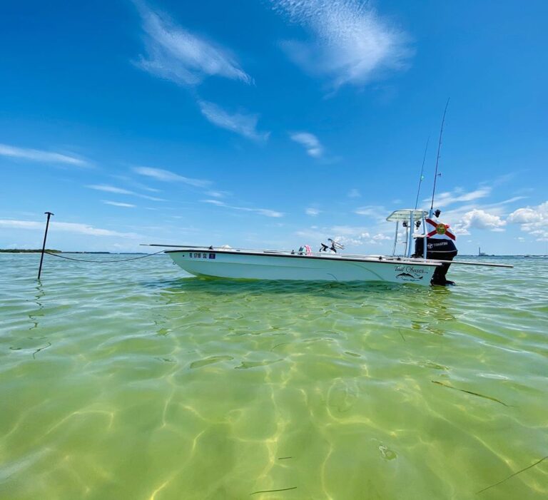 Anclote Key.