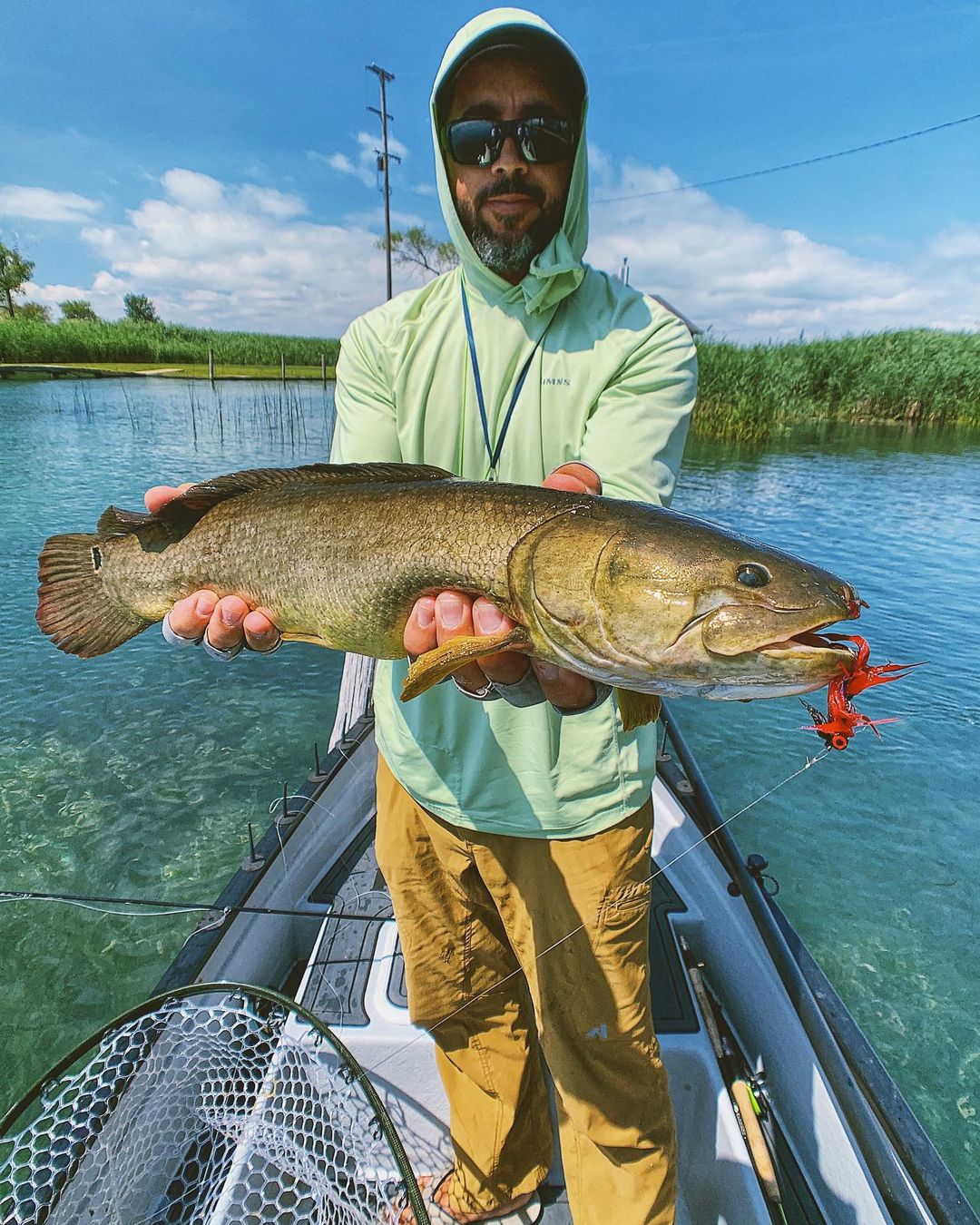 Bowfin candy .
.
.
.
   .
.
.
.