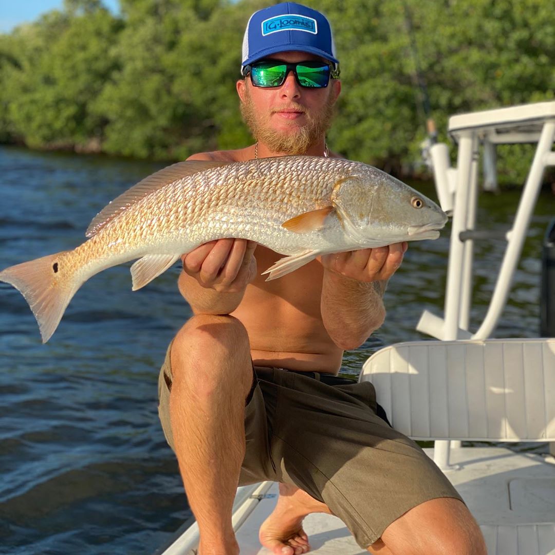 1fish 2fish redfish blue fish