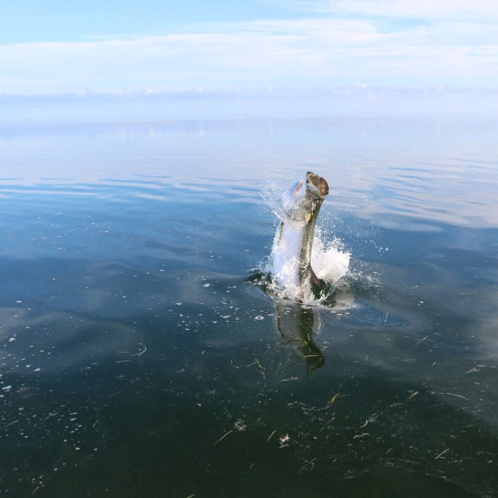 A little bit of chaos on a still morning // photo by Kat Vallilee, guiding by Ca