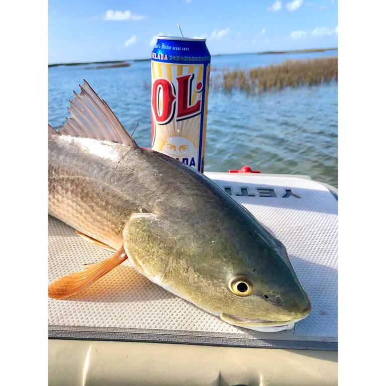 .
The first chelada comes out of the cooler when the first fish hits the net. Mo