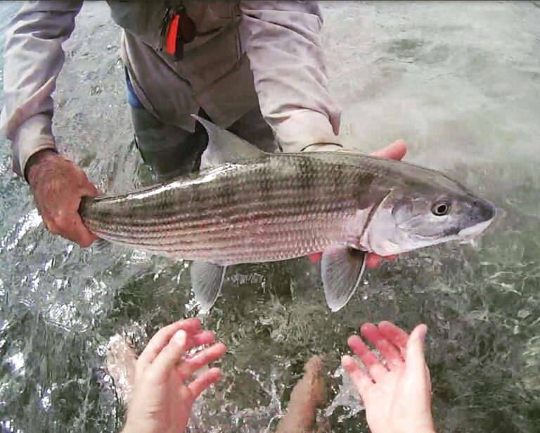 Handing over the prize… www.antigua-flyfishing.com