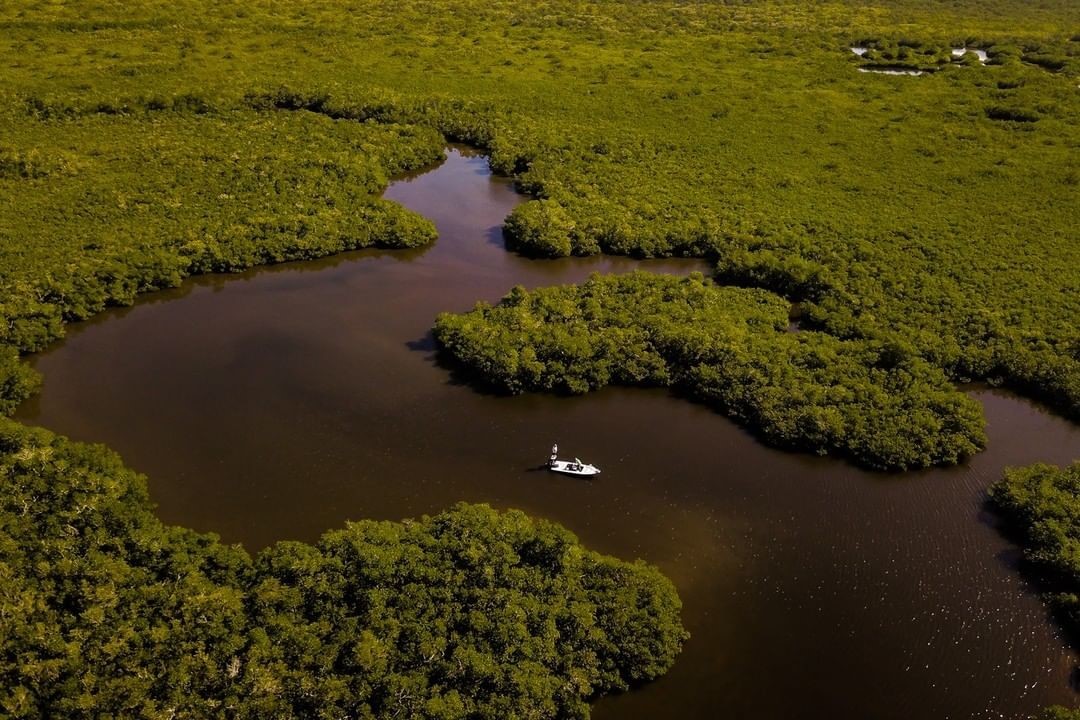 Mangrove Maniacs:
Leave no bank unsearched in the pursuit of an inshore giant.