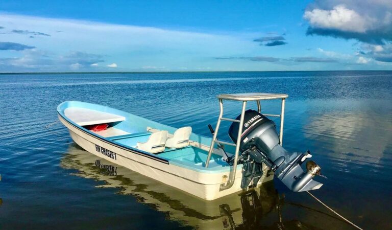 Happy Weekend. 
Fin Chasers Isla Blanca
Mexico
www.finchasersmx.com