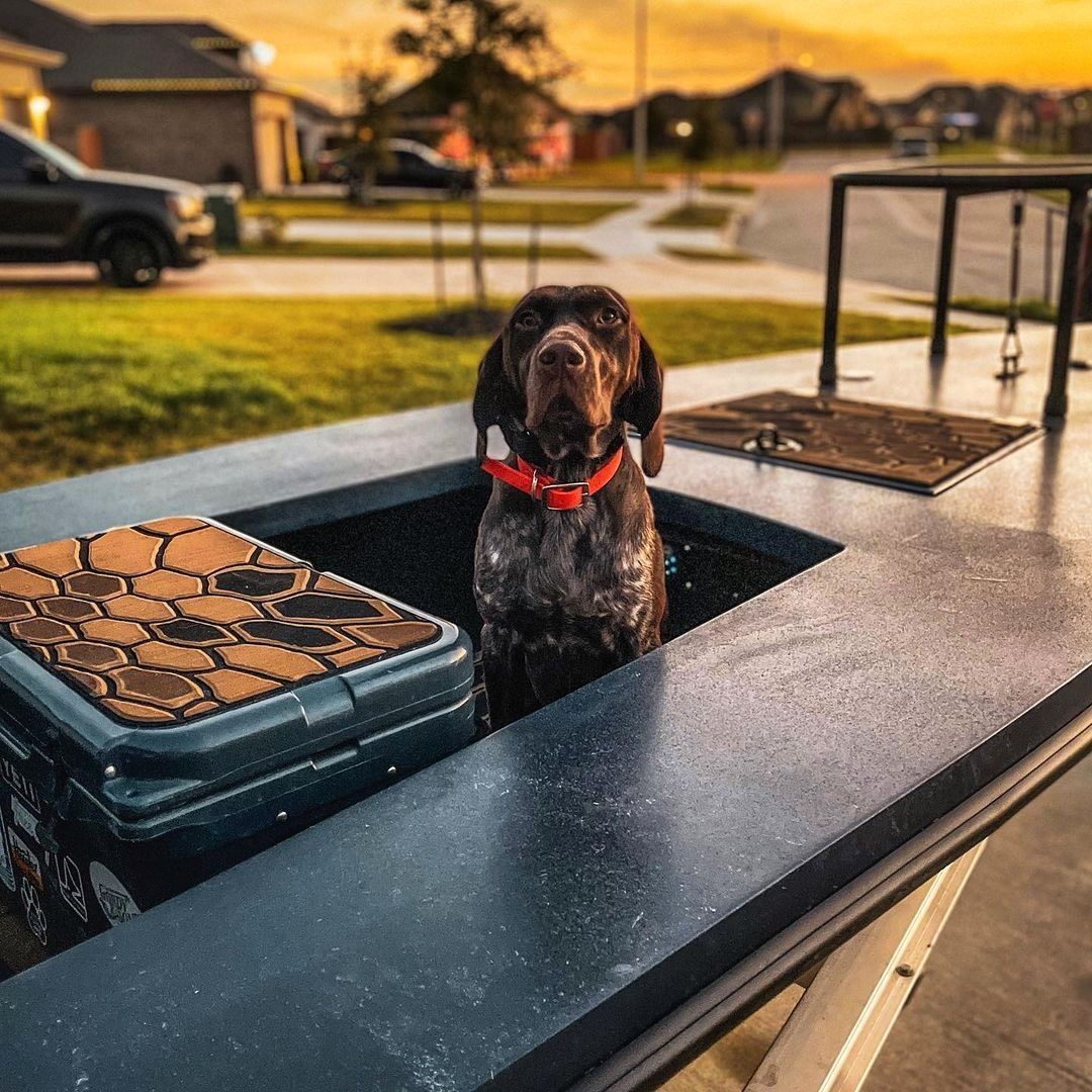 ~ Ready To Go ~

Zulu is ready to get after some Texas ducks!