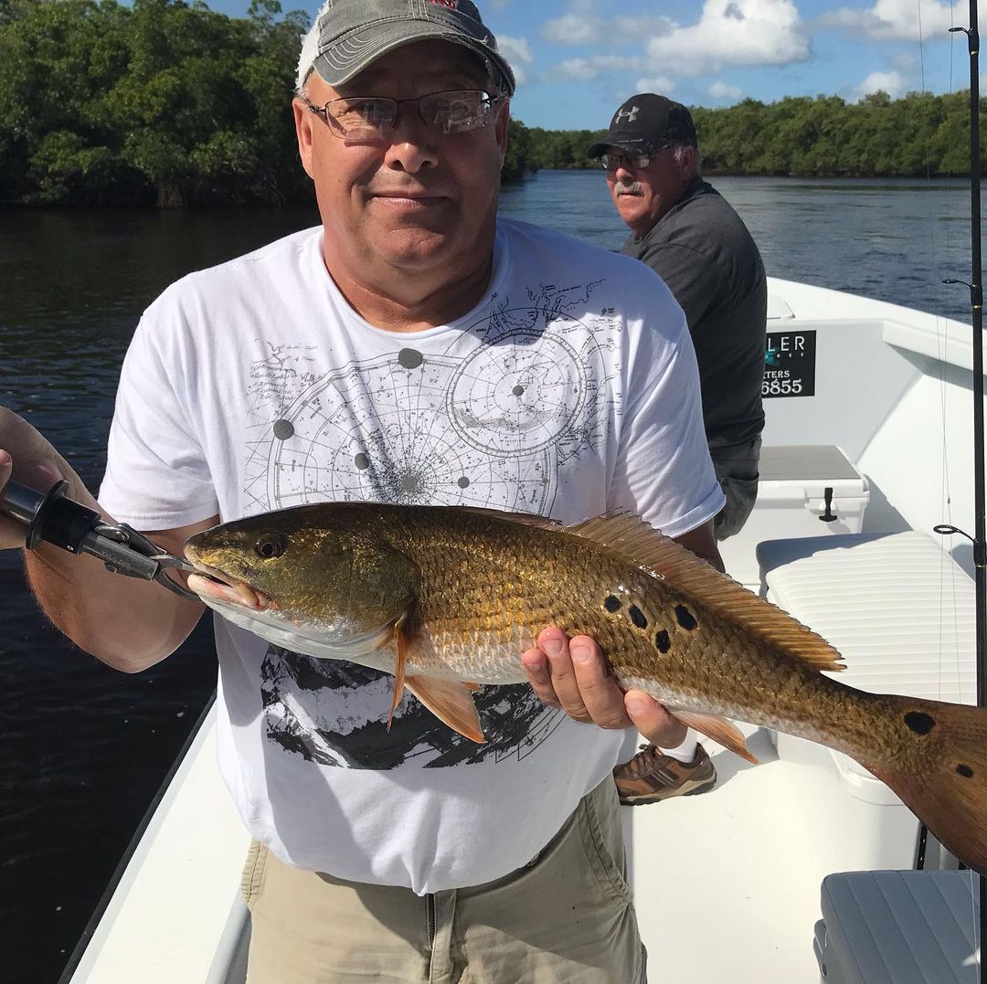 30+ snook and a nice red. Not bad for 20mph wind. 
More action!
       c