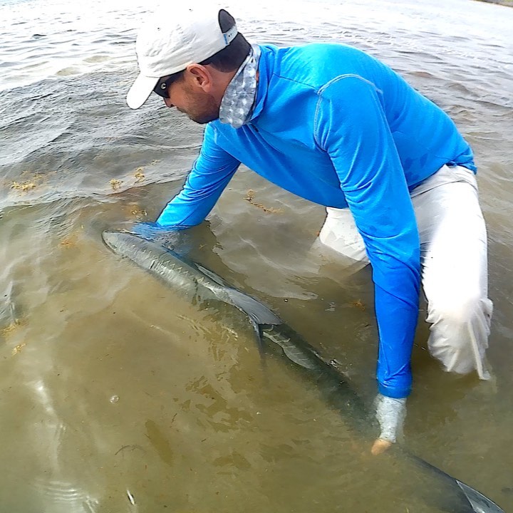 Throwback sending home a solid tarpon,  hooked up in a deep channel next to the