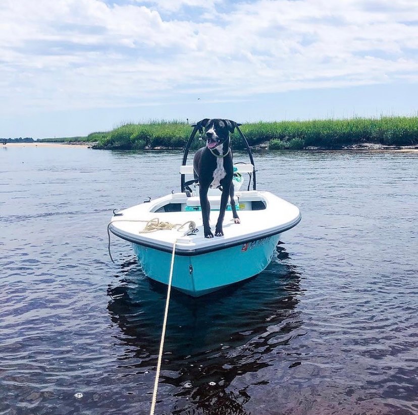 Pearl is a sandbar lovin skiff dog. This picture was taken on her most recent bi