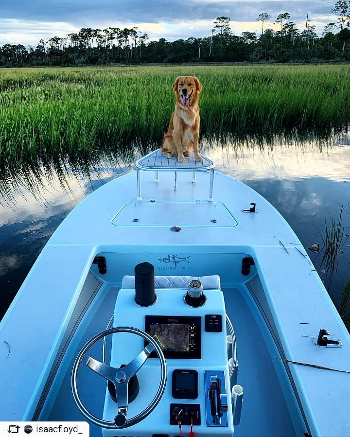 MANS BEST FRIEND MONDAYS!

FEATURED PHOTO
Congratulations  on your feature. 
.
S