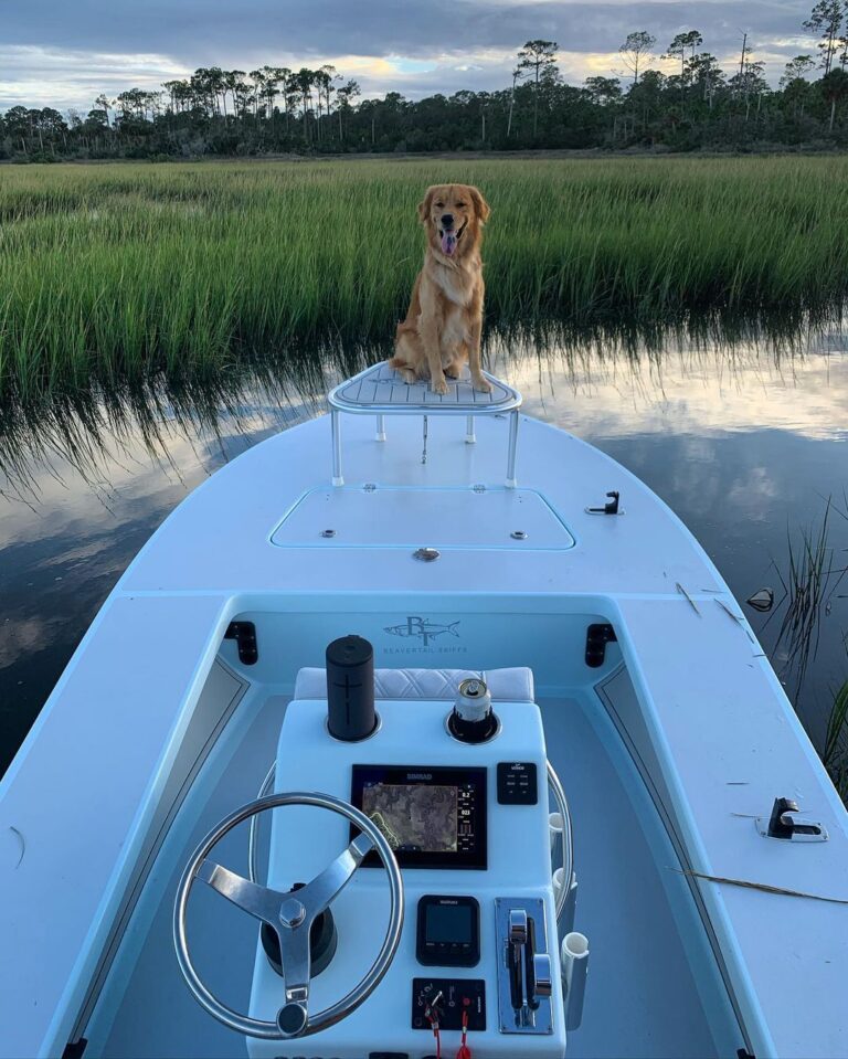 My redfish spotter 
~
~
~
~
~
~