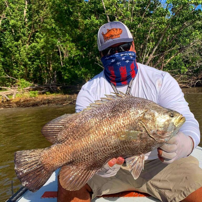 Always cool getting a trip bite while snook fishing!