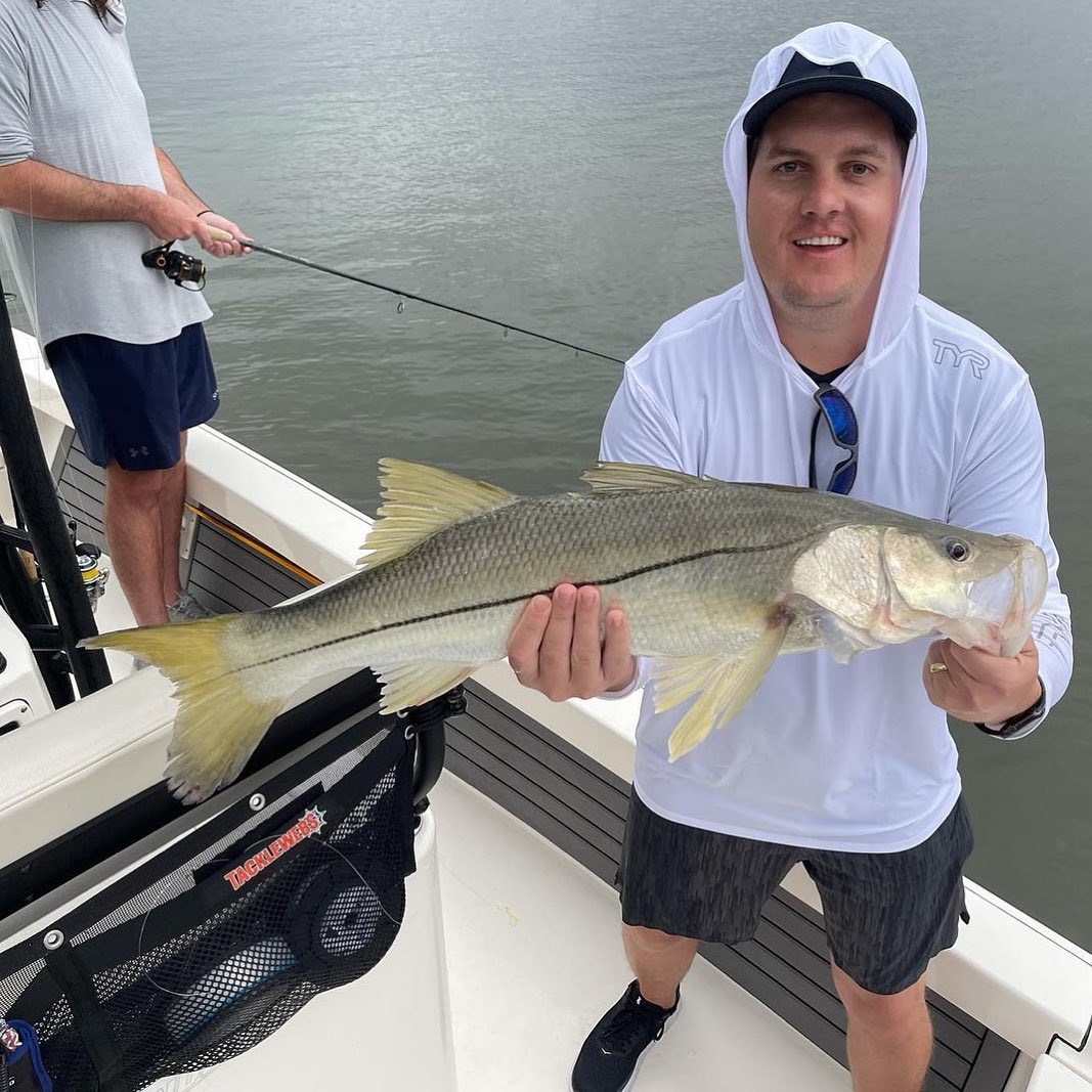 Snook season is here! Catch em’ up!