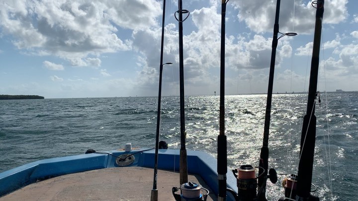 Cruising Miami in blue today