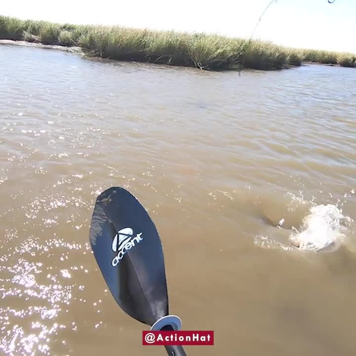 This Redfish was 5 feet from the kayak. Literally just opened the spool and drop