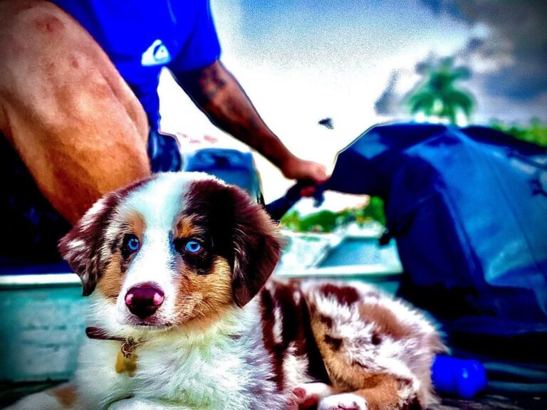 Sunset cruise through the mangroves with dad!!!