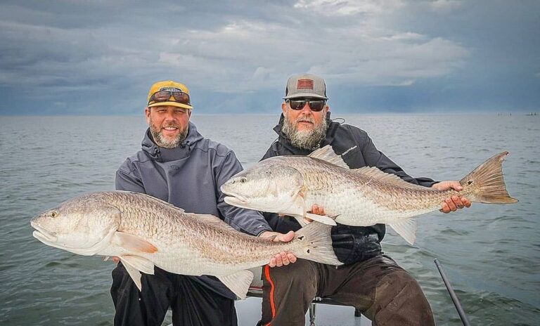 @licking_tails and @glennwilson3 doubled up on some healthy redfish!

DM / tag u…