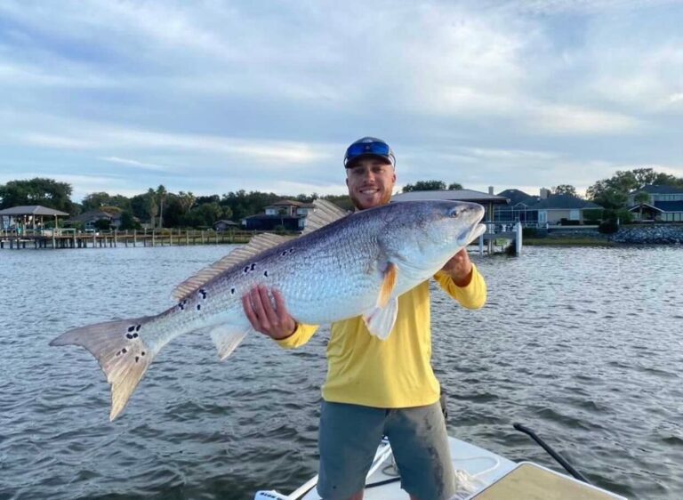 @timothyober solid bull redfish out of Jacksonville, FL!  

DM / tag us in your …