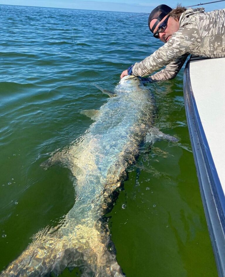 @tarponslayer chose his name for a good reason!! 

DM / tag us in your pics!
Don…