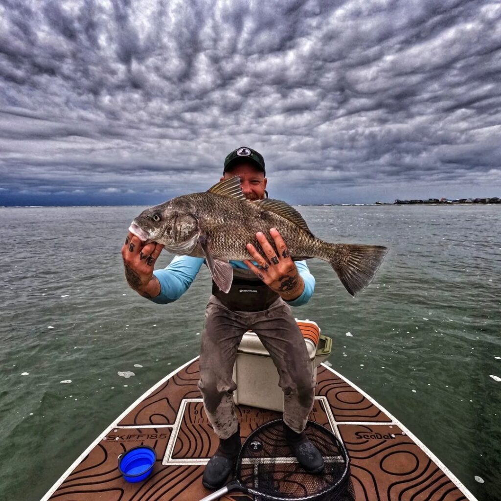 Good day at The Pass, new species for me (Black Drum) aka Big Ugly.