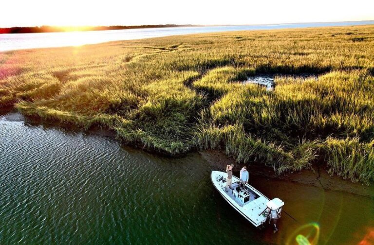 Awesome photo montage of all the beauty South Carolina has to offer! @capt.jimhutson