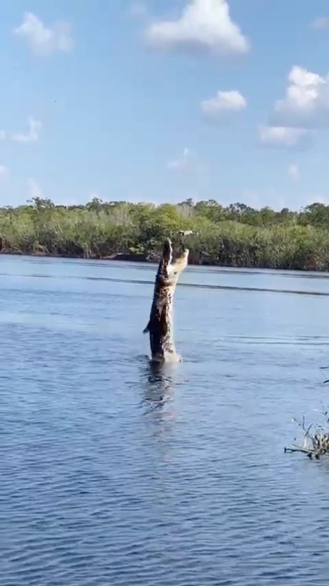 Gators don’t appreciate drones blowing up spots, either! Almost got it!…