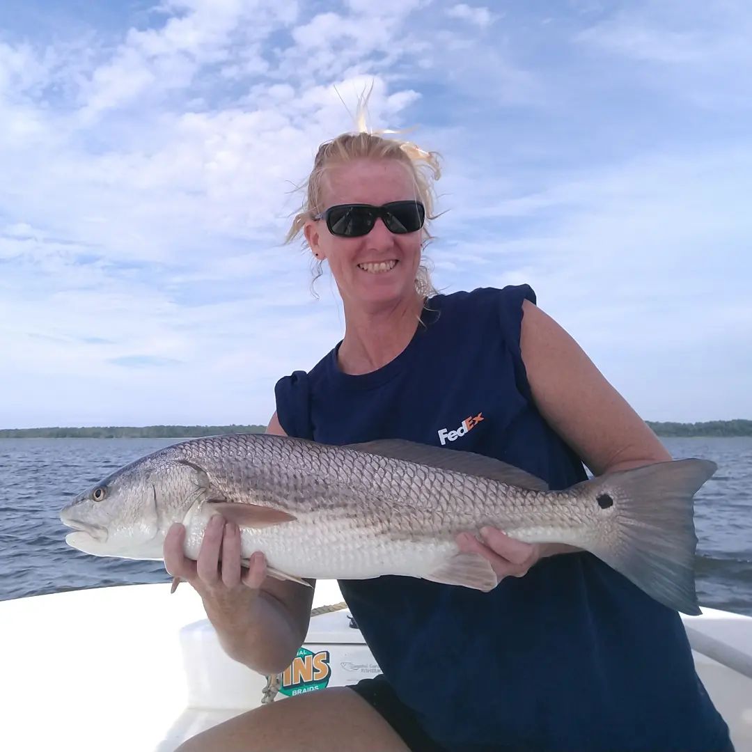 Upper slot Reds are hungry! They're working through the mullet schools. Keep you