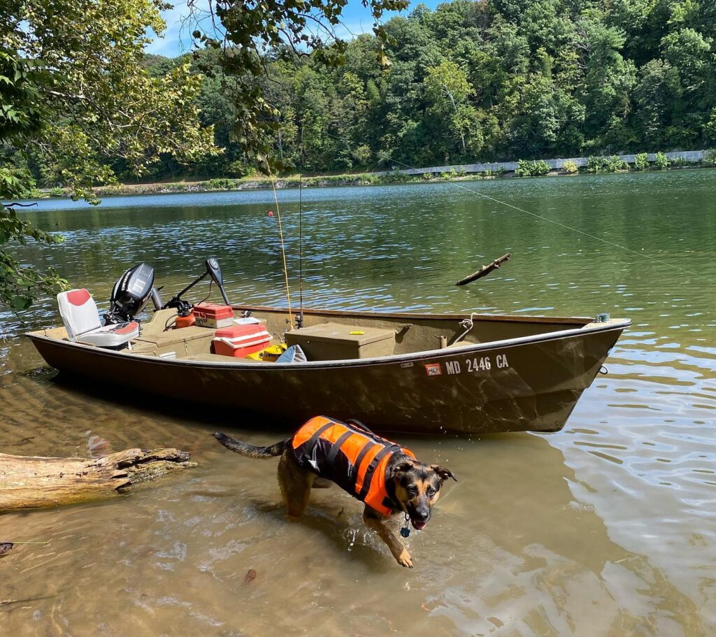 Pup’s first boat trip!