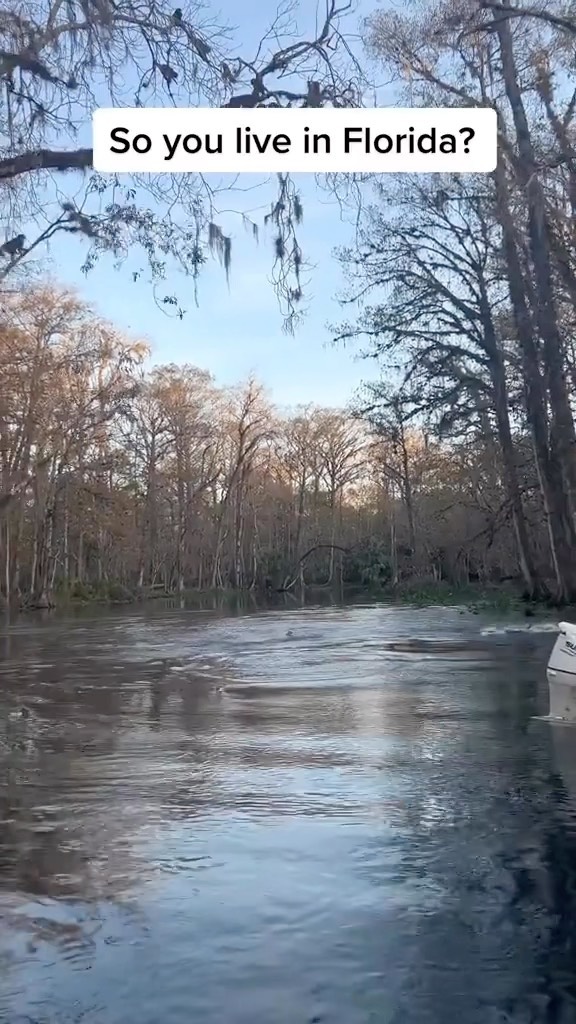 Absolutely WILD footage from @capt.schwanke via TikTok of a troop of 30 monkeys …