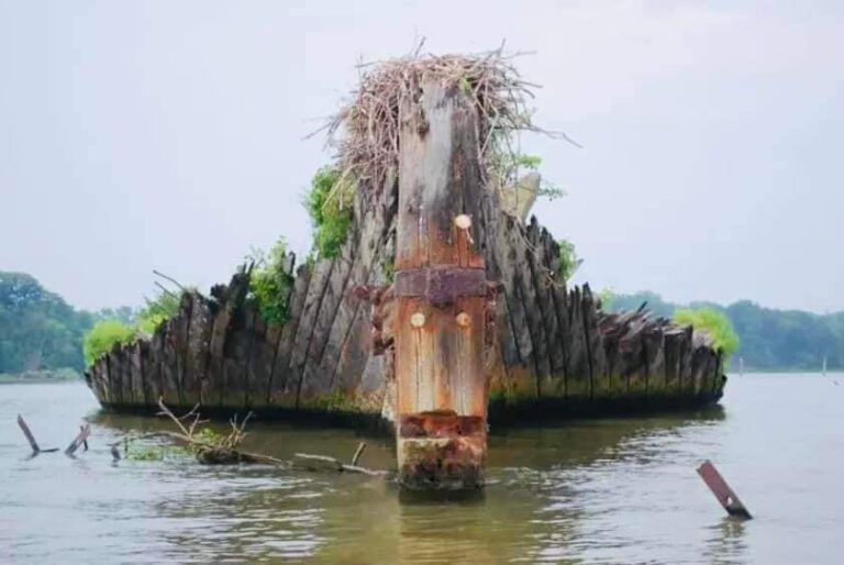 Ghost Fleet of Mallows Bay Maryland